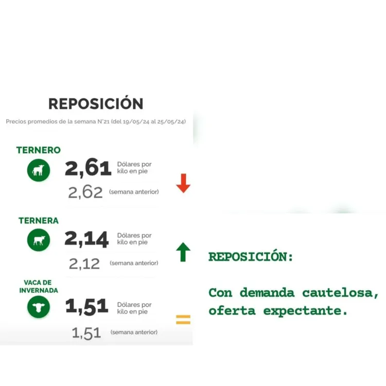 WhatsApp Image 2024-05-28 at 09.18.59 (2)