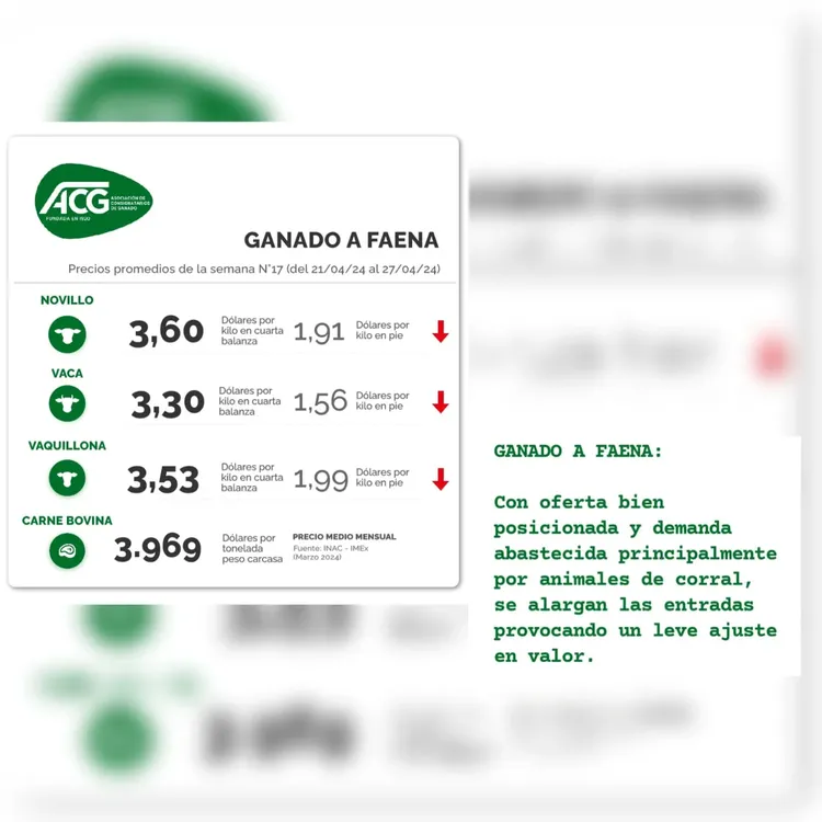 WhatsApp Image 2024-04-30 at 08.45.42