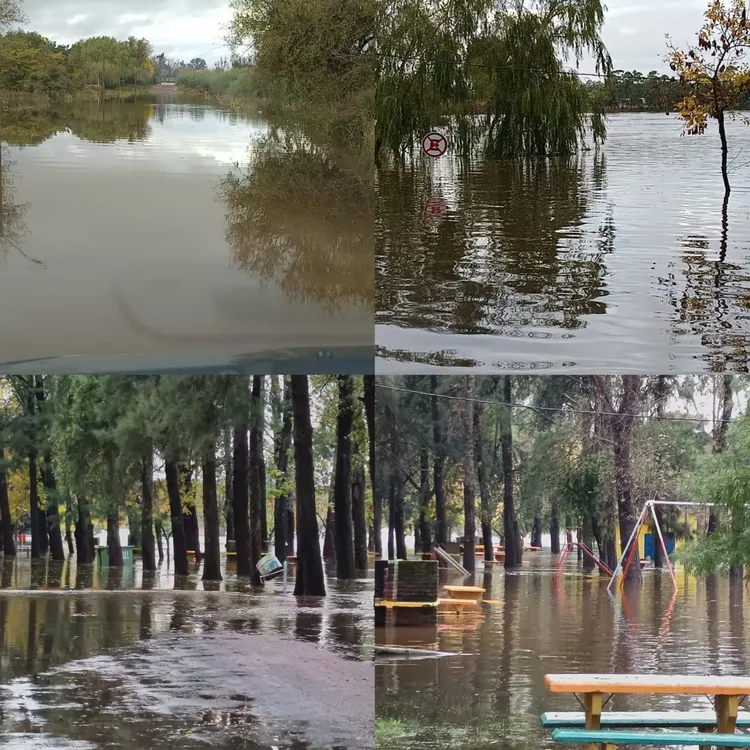 WhatsApp Image 2024-05-06 at 16.40.04 (1)