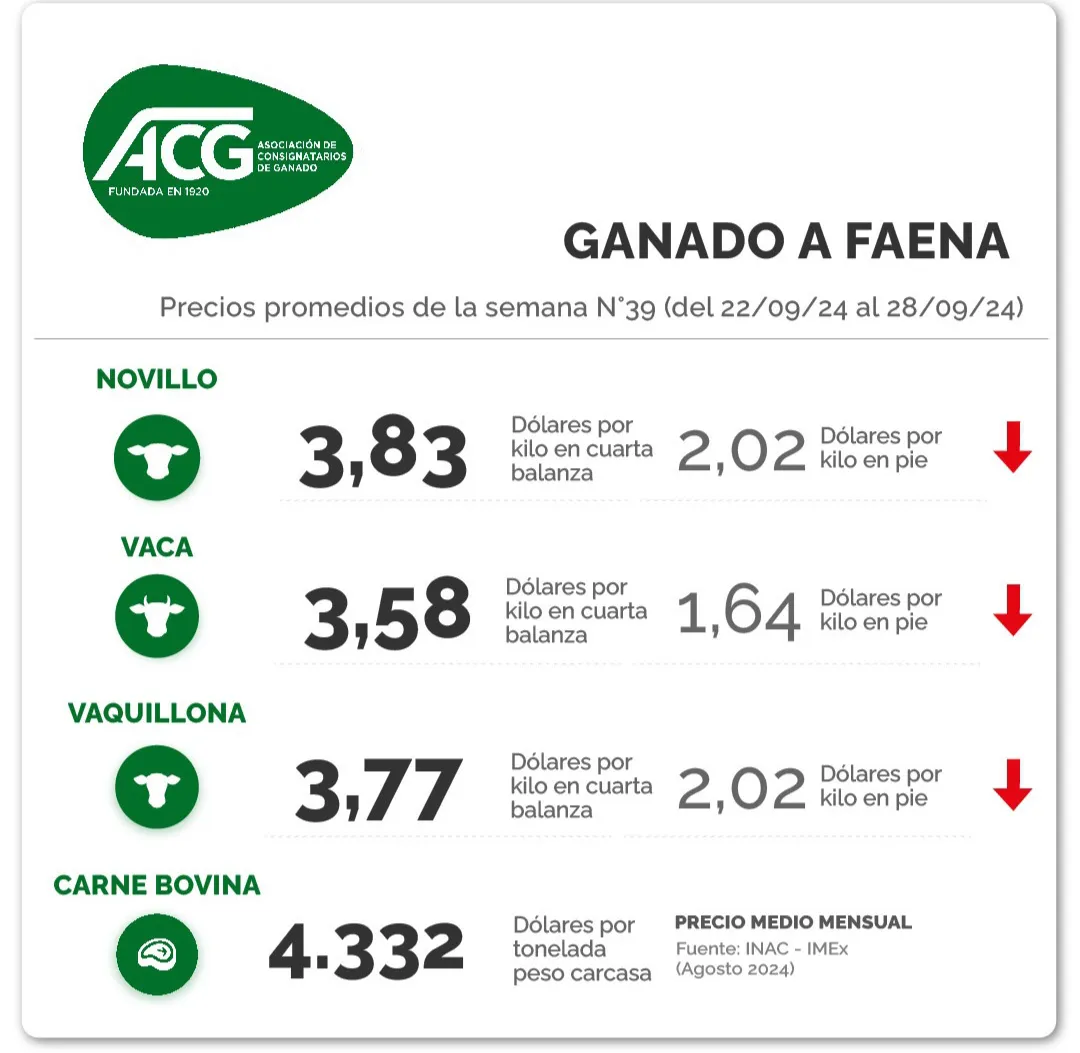 Screenshot_20241002_085658_Instagram