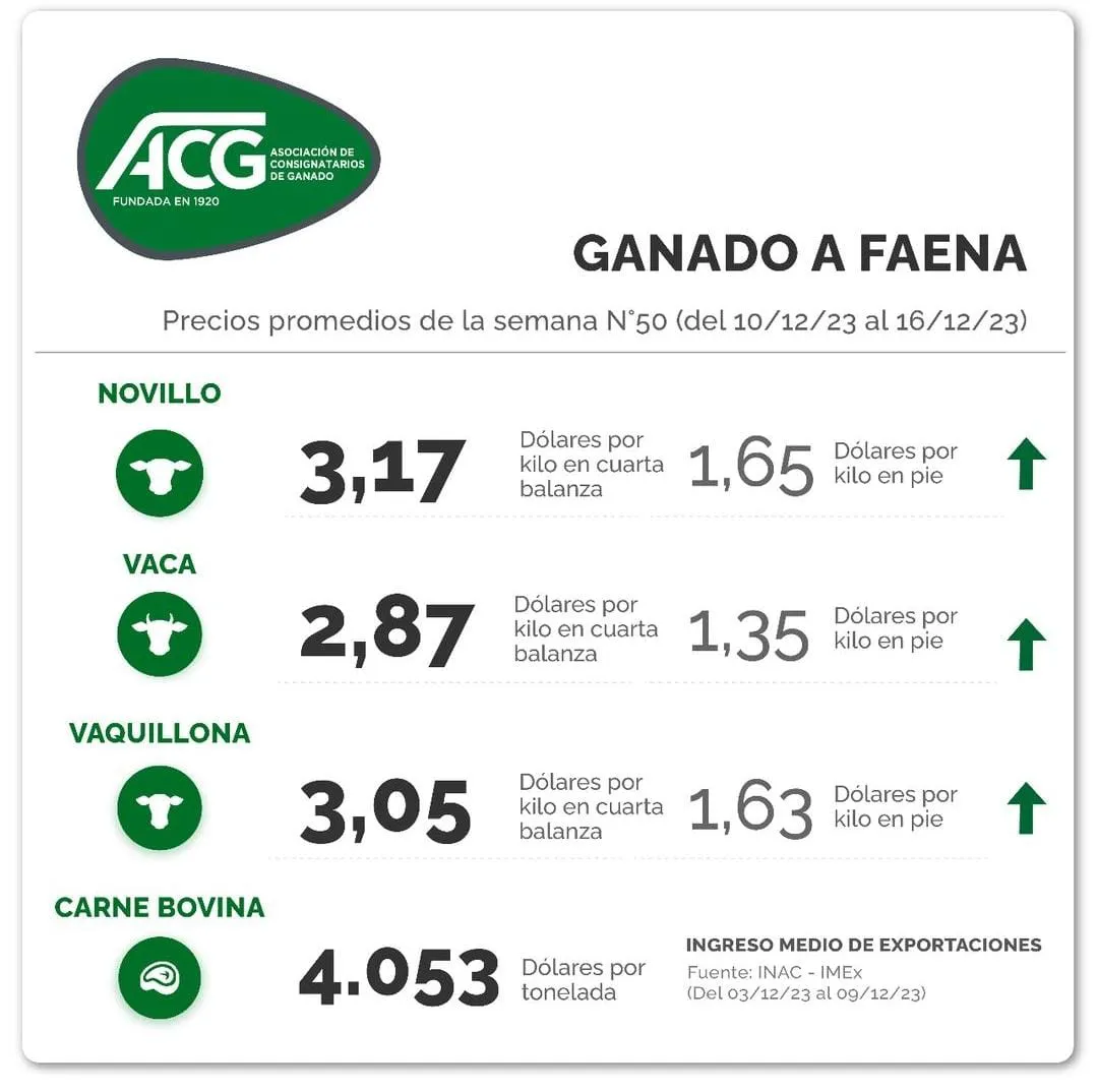 WhatsApp Image 2023-12-19 at 00.03.01