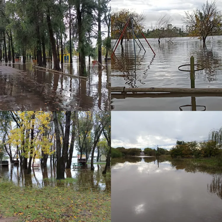 WhatsApp Image 2024-05-06 at 16.40.04