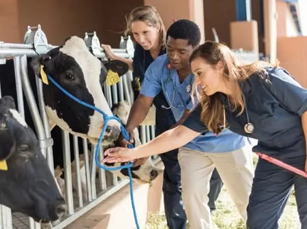 FB_IMG_1770576670207