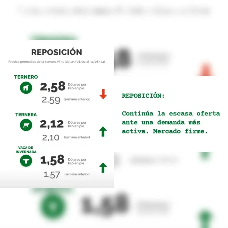 InShot_20240903_170311987