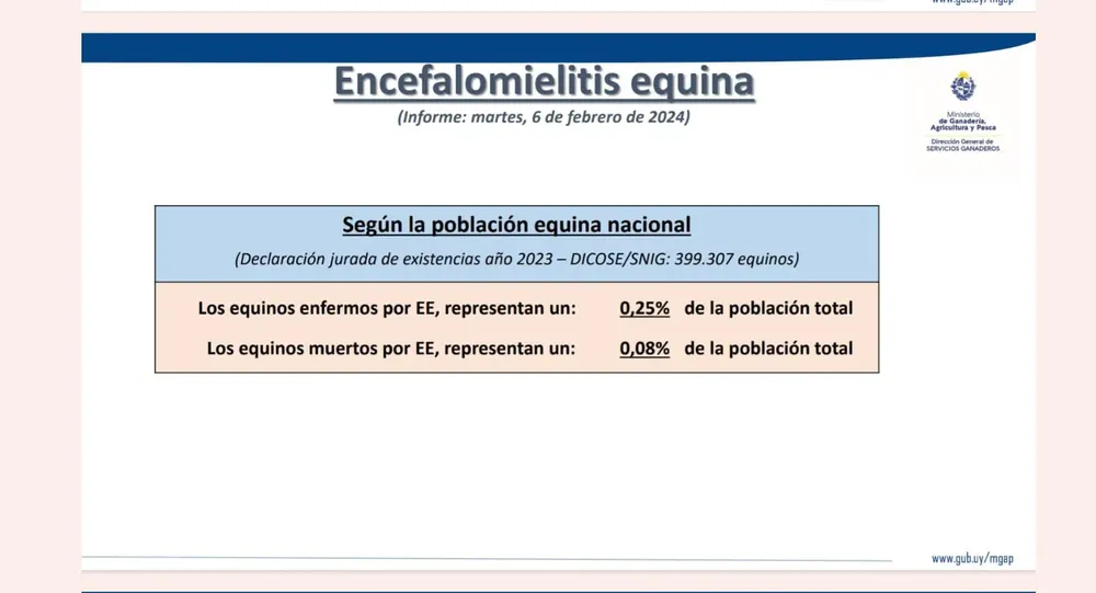 WhatsApp Image 2024-02-06 at 15.40.46 (2)