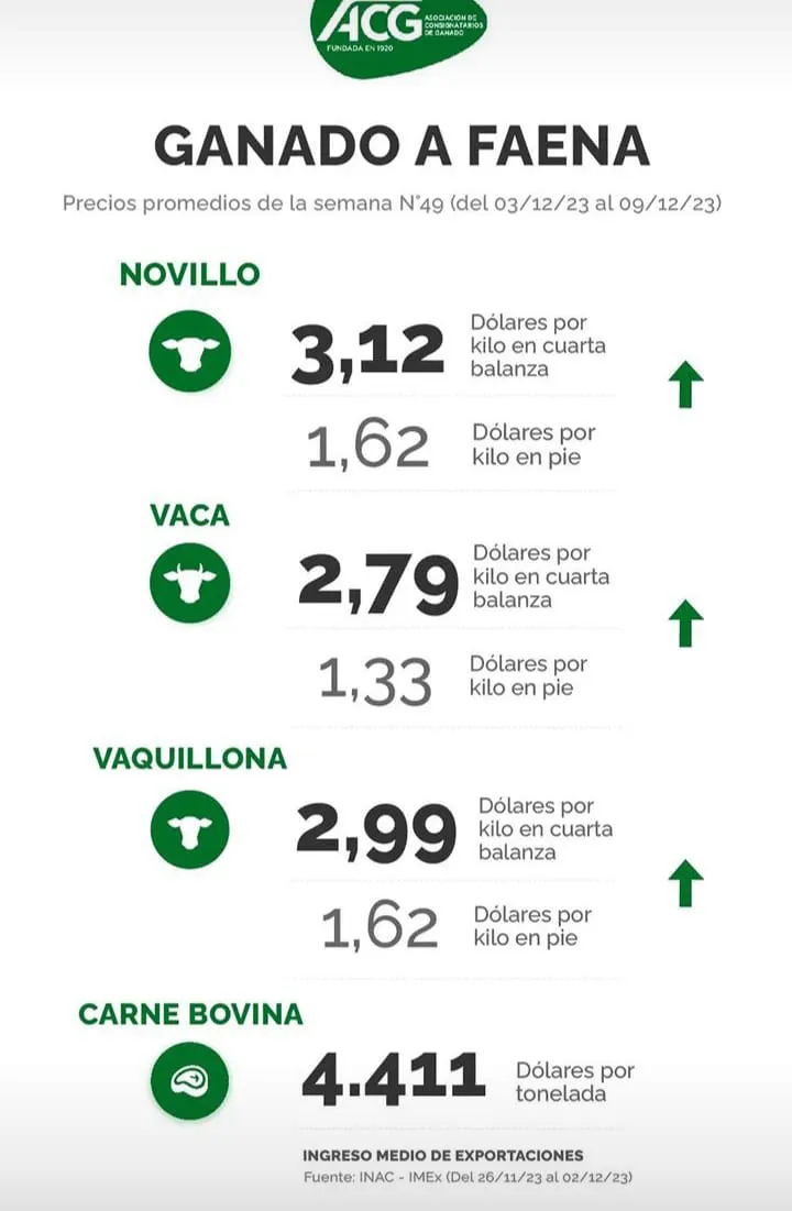 WhatsApp Image 2023-12-12 at 12.04.46