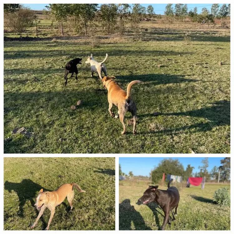 WhatsApp Image 2024-08-14 at 14.45.24