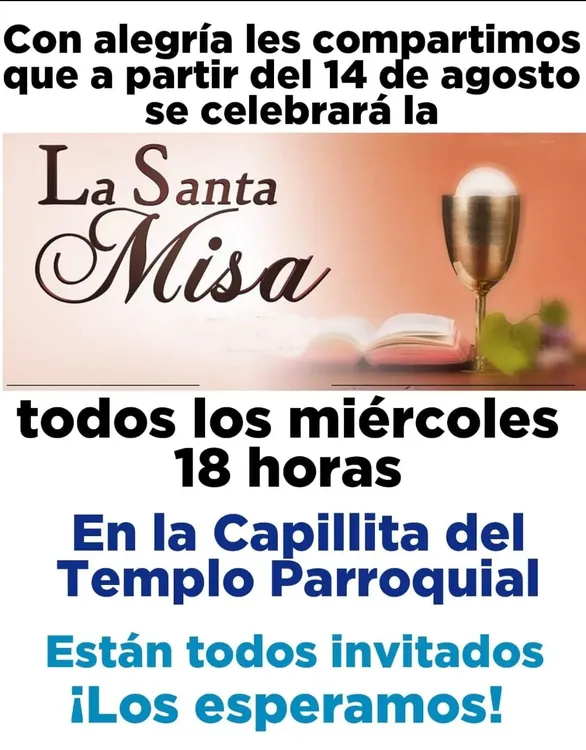 WhatsApp Image 2024-08-13 at 16.26.03