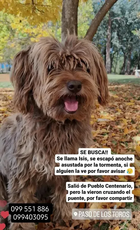 WhatsApp Image 2024-03-09 at 13.09.51