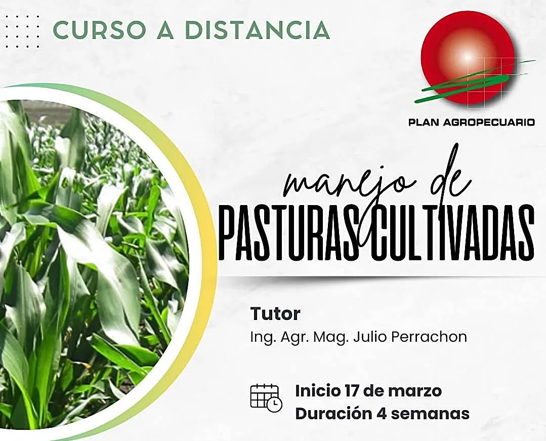 Screenshot_20250227_232454_Facebook