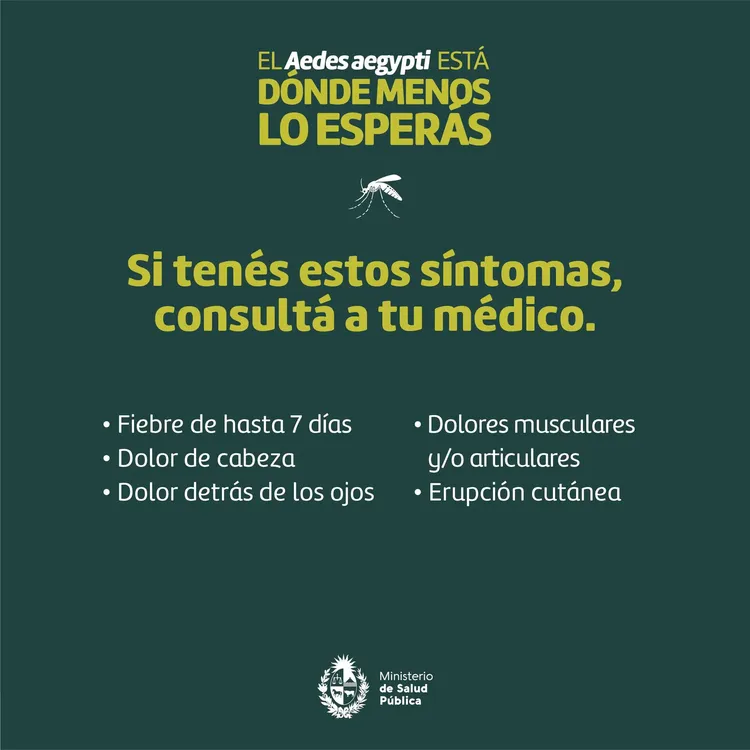 346045843_2465882443575462_2567361161694199726_n