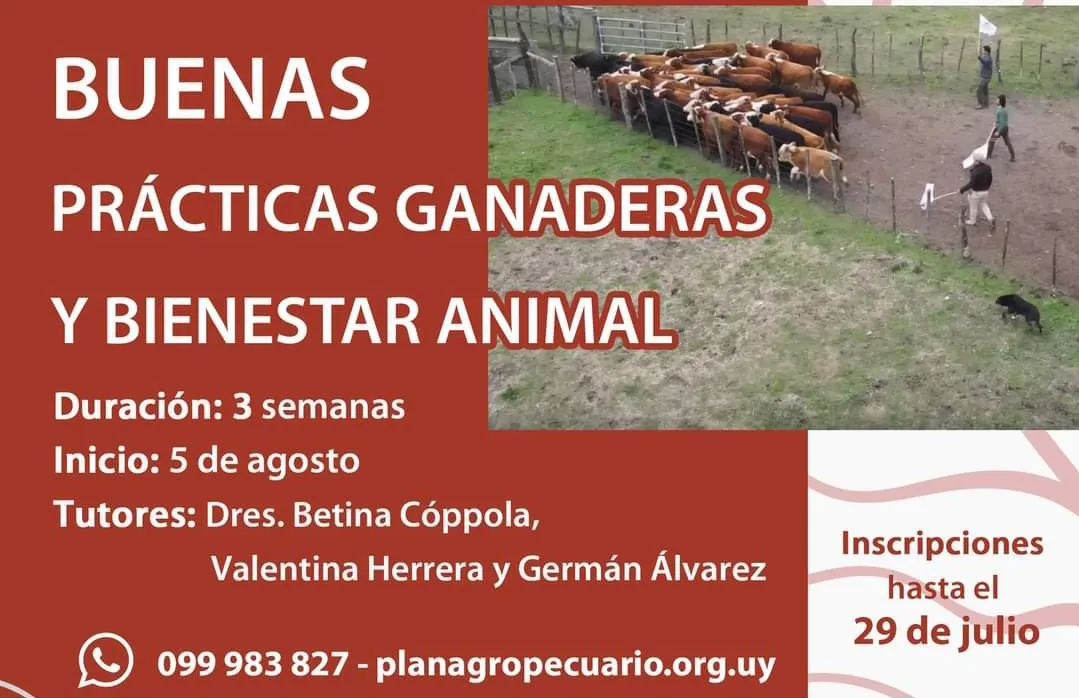 Screenshot_20240717_124349_Facebook