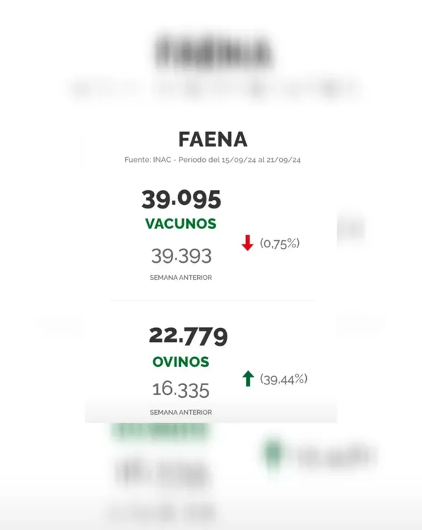 InShot_20240924_085052001