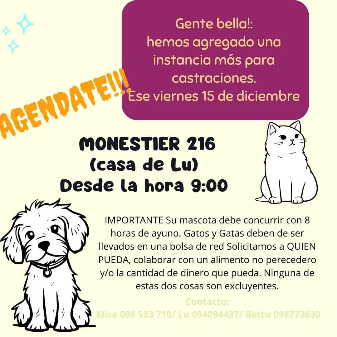 FB_IMG_1702560875310