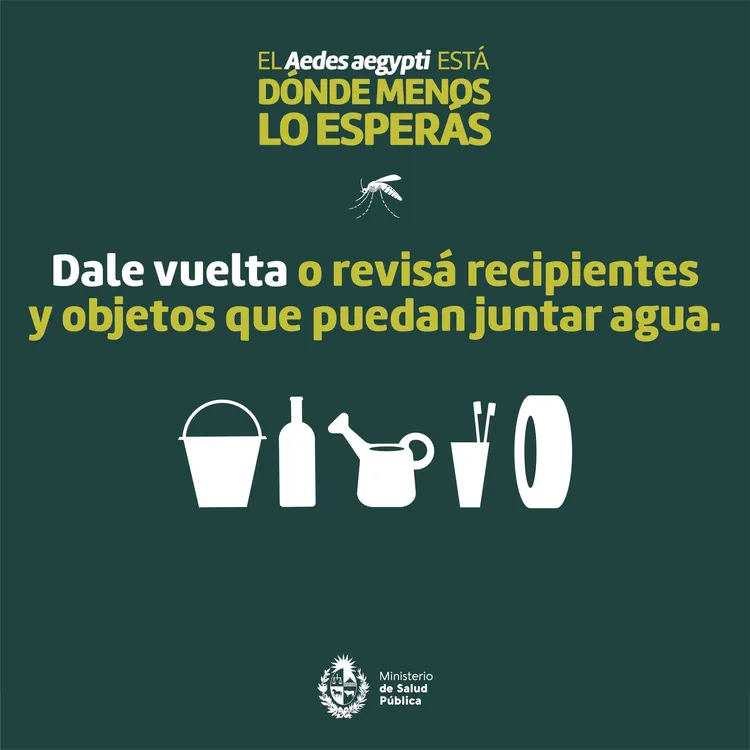 345666622_917873722847775_7297368598295515784_n