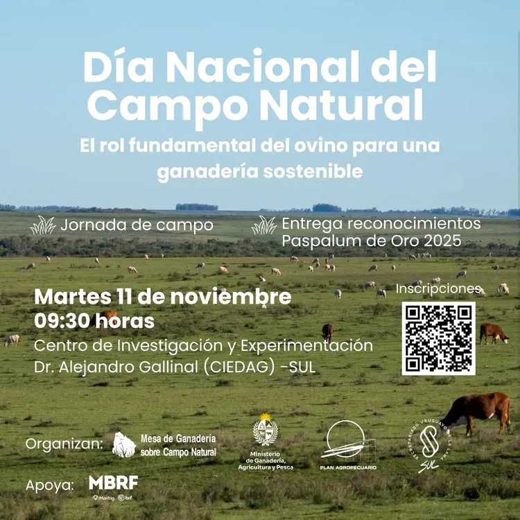 FB_IMG_1761749517970