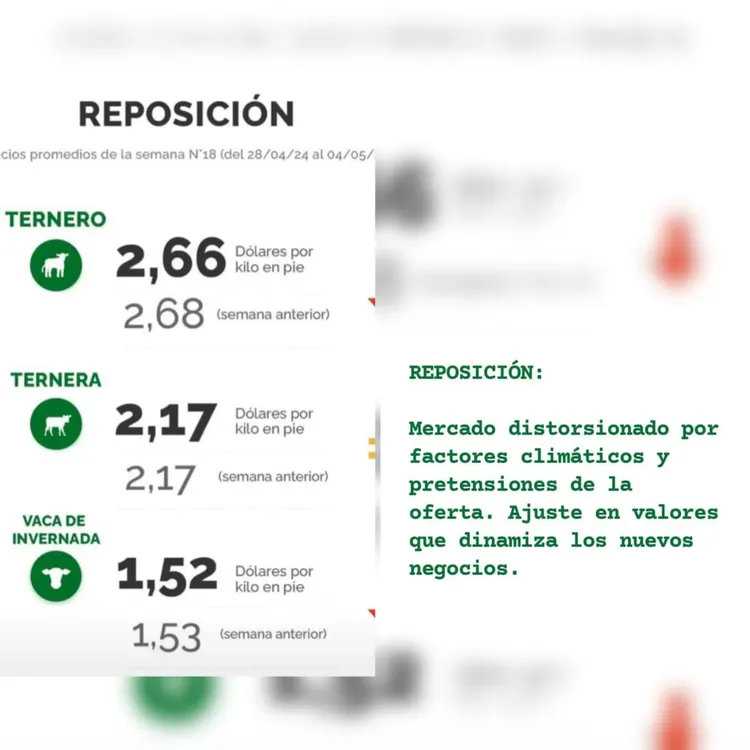 WhatsApp Image 2024-05-07 at 15.39.19 (2)