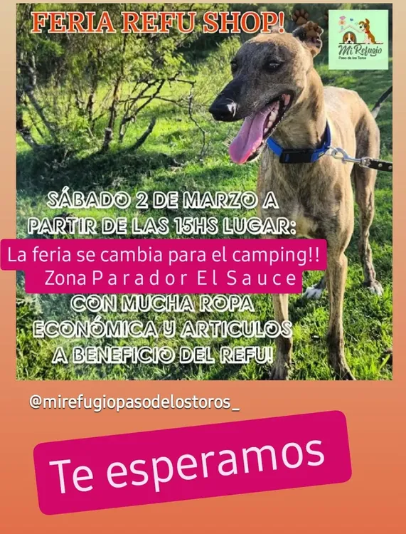 WhatsApp Image 2024-03-02 at 15.40.41