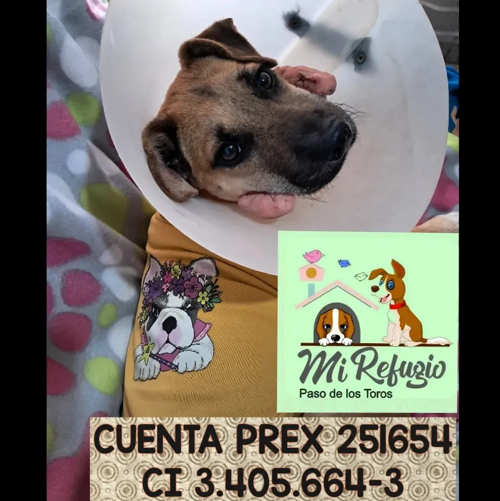 453633673_522739800105117_4282866331687823296_n