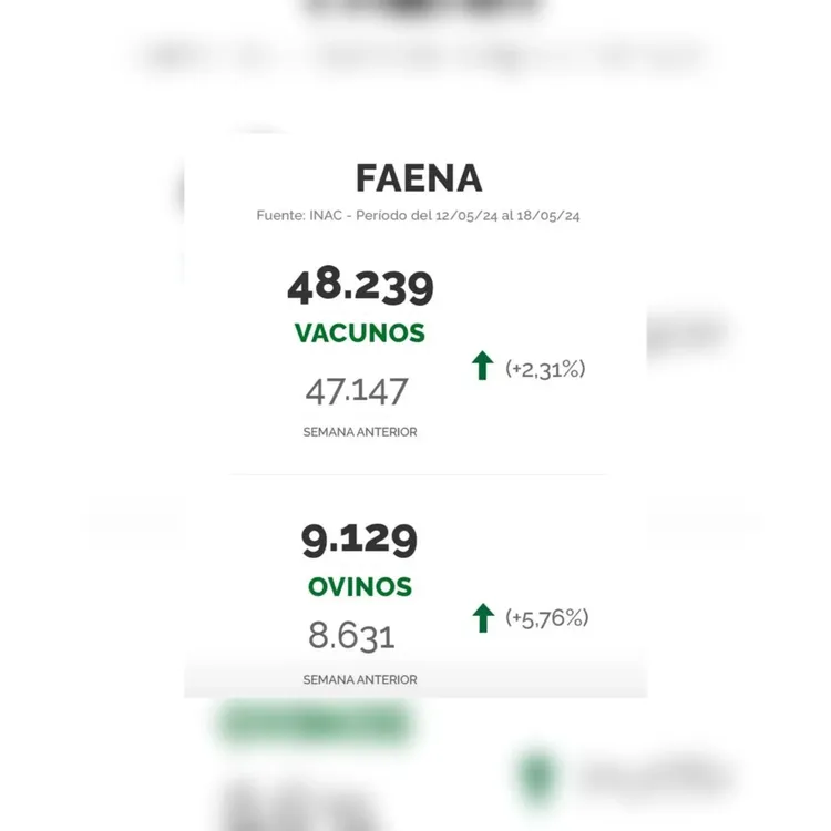 WhatsApp Image 2024-05-21 at 09.15.30 (2)