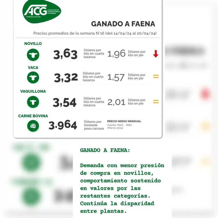 InShot_20240422_223438725