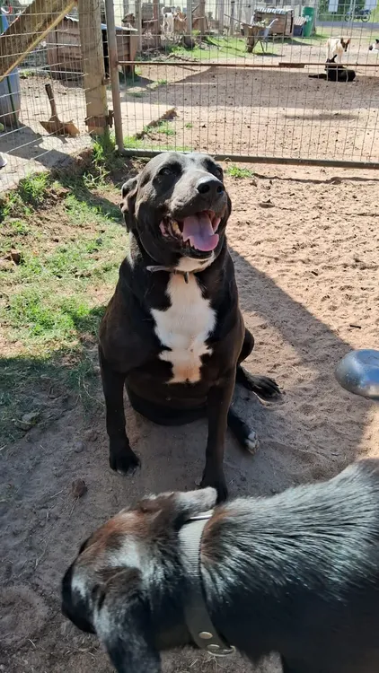 WhatsApp Image 2024-01-02 at 14.55.02 (1)