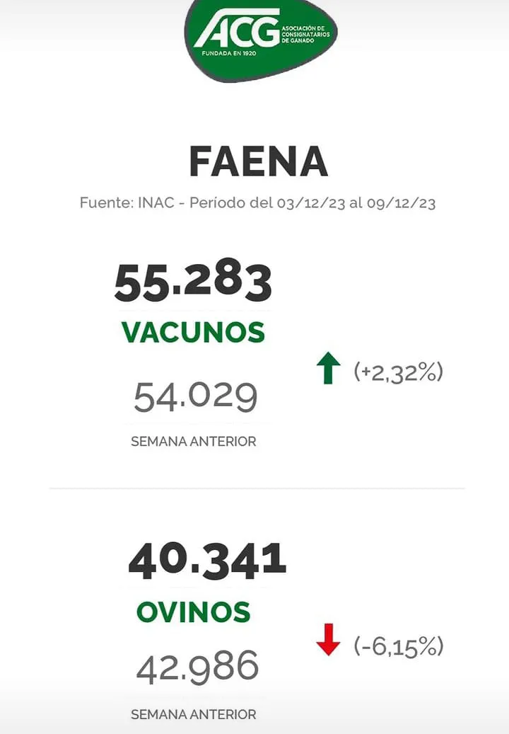 WhatsApp Image 2023-12-12 at 12.04.48