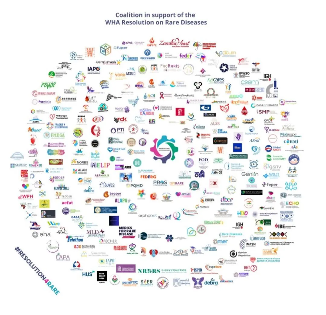 FB_IMG_1748123050247