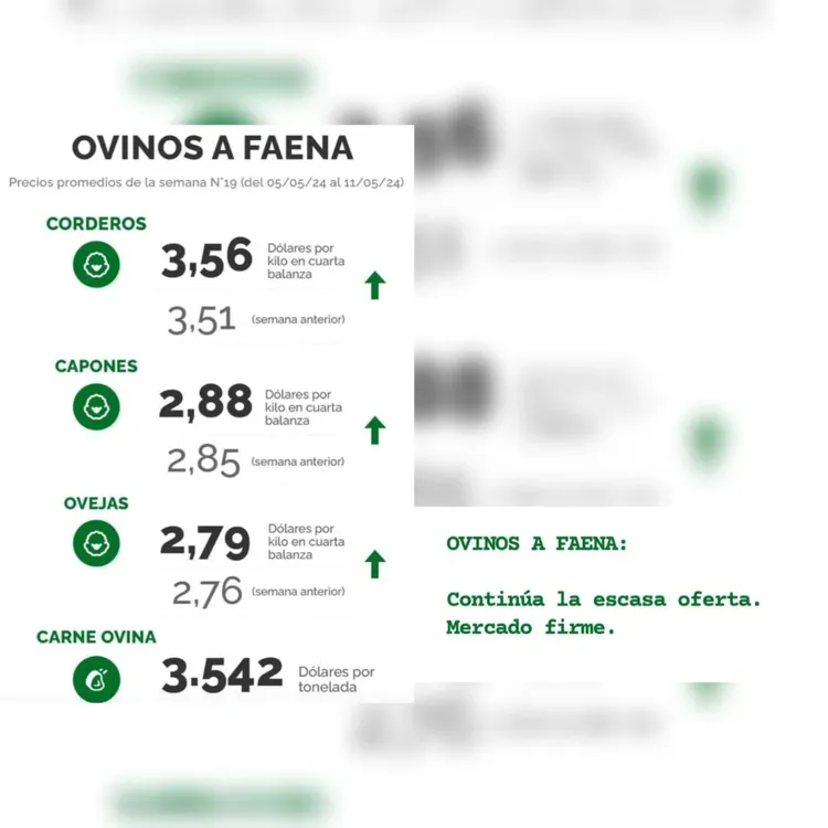 WhatsApp Image 2024-05-14 at 13.51.10 (2)