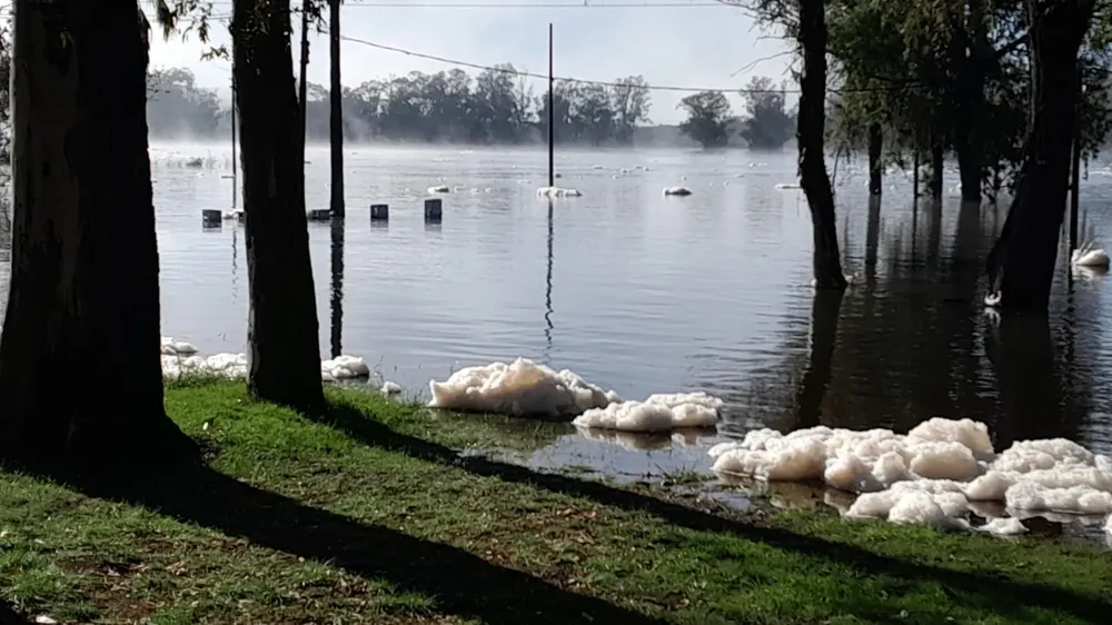 WhatsApp Image 2024-05-20 at 10.53.18