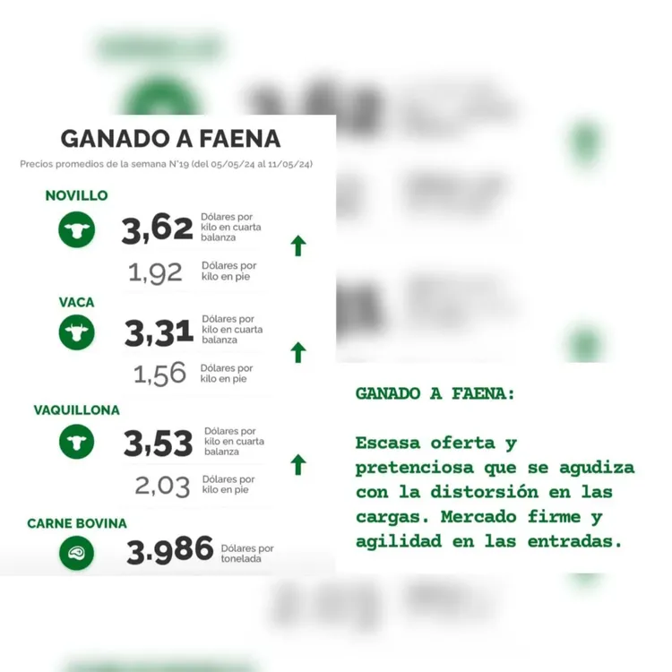 WhatsApp Image 2024-05-14 at 13.51.10 (1)