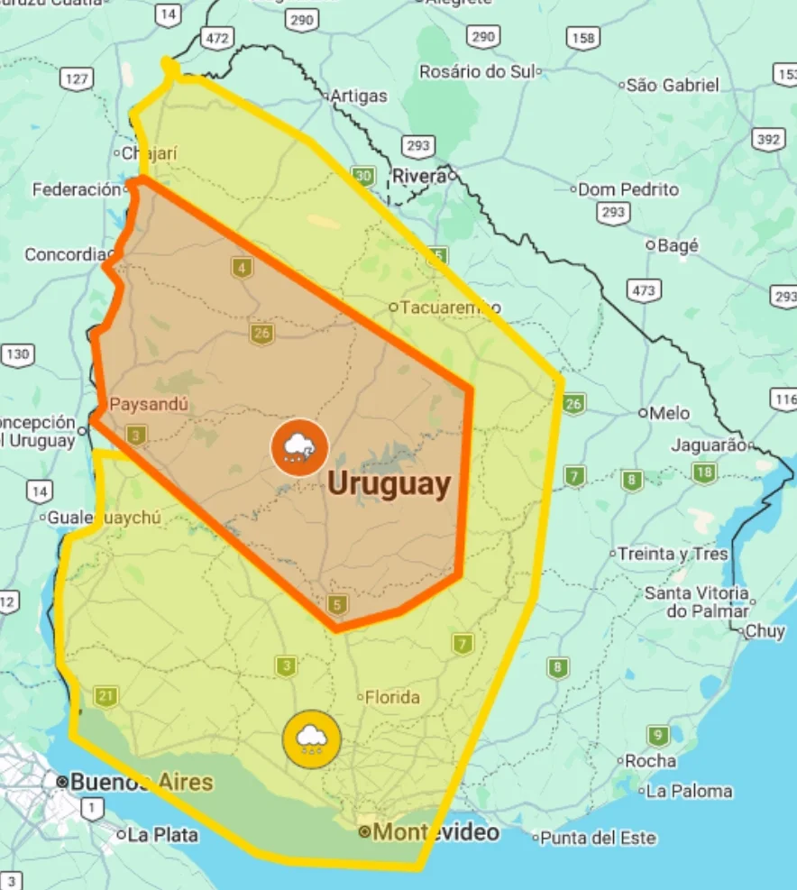 Screenshot_20260321_094908_com_hihonor_hnoffice_PDFPhoneActivity0