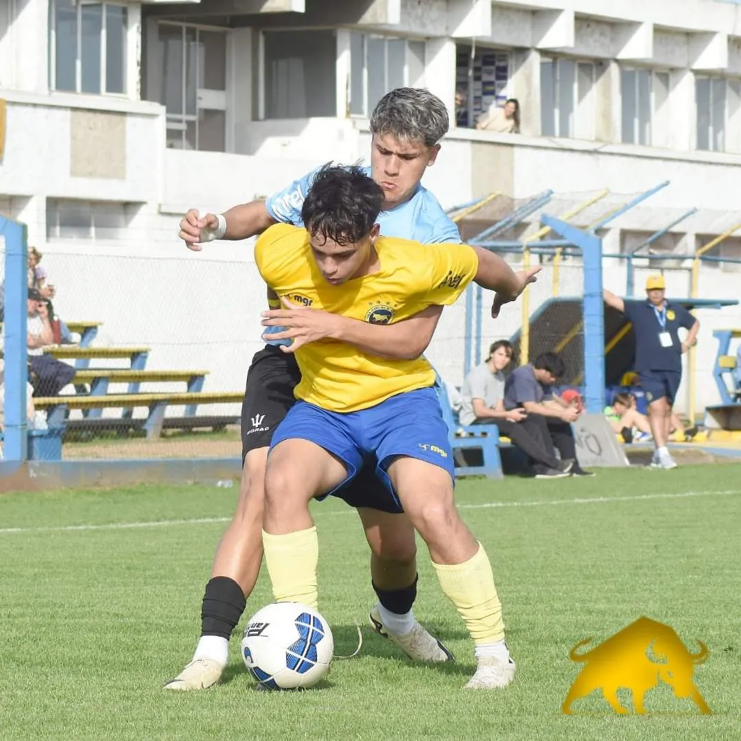 FB_IMG_1727192431526