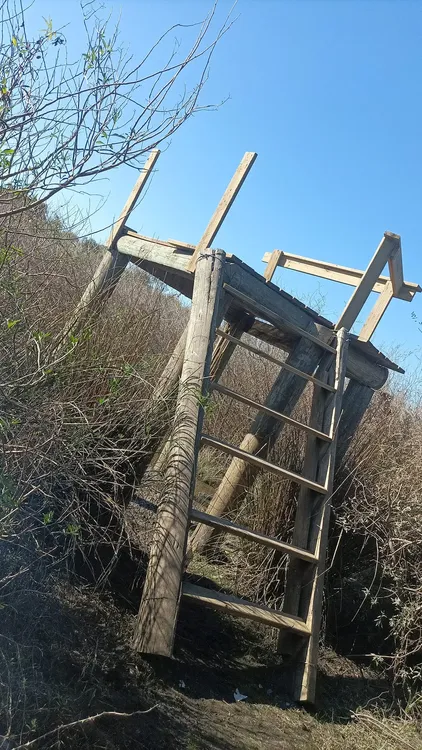 453400645_500565139281840_7343415129763671837_n