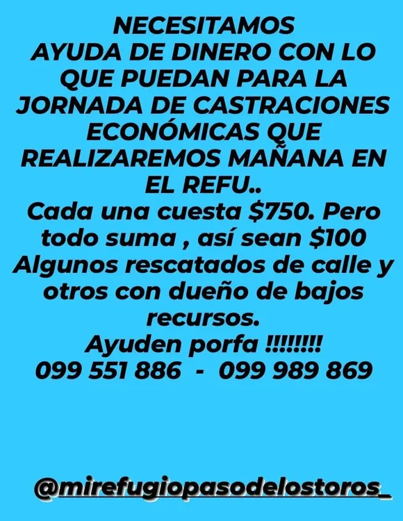 Screenshot_20231129_151109_WhatsApp