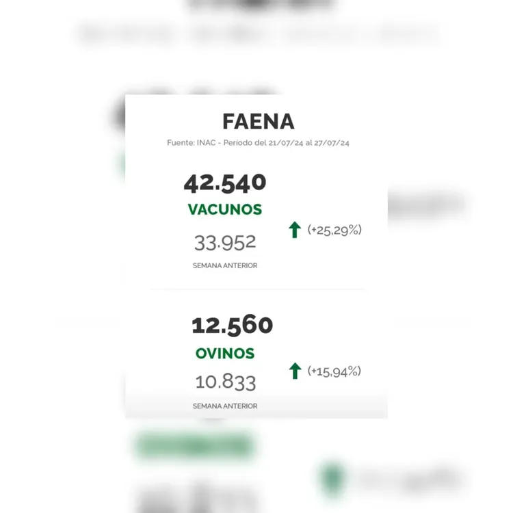 WhatsApp Image 2024-07-30 at 11.08.13 (1)