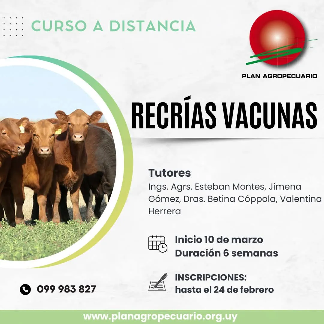 FB_IMG_1739230450731