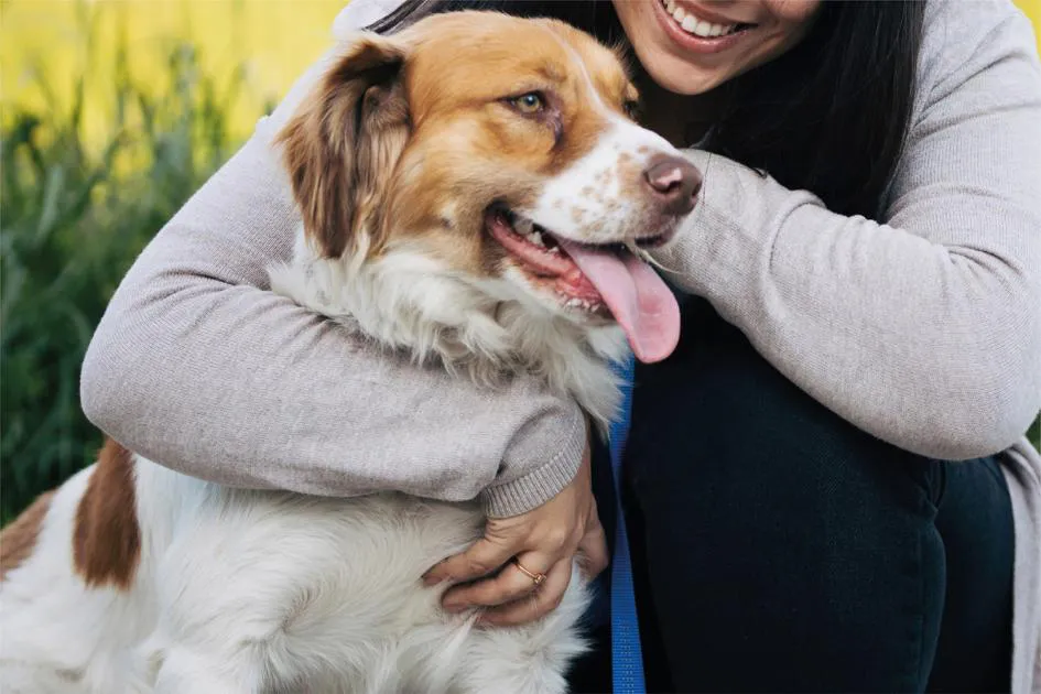 MSP_DIA_MUNDIAL_ZOONOSIS_W