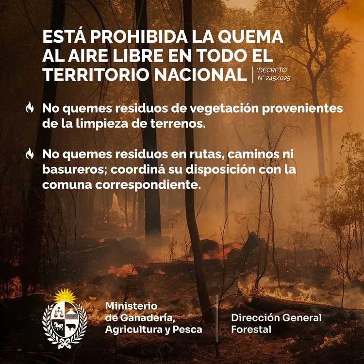 FB_IMG_1770767223428