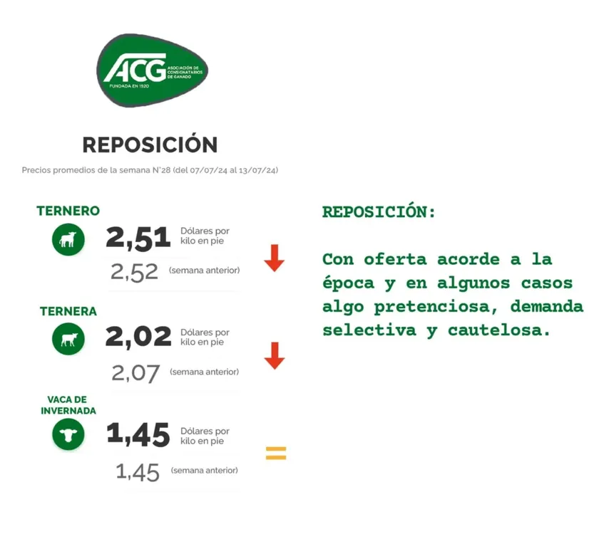 WhatsApp Image 2024-07-16 at 09.05.35