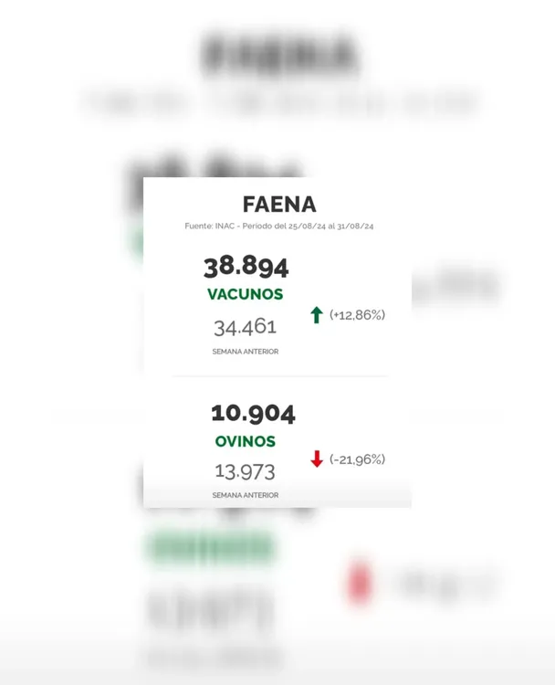 InShot_20240903_170513767