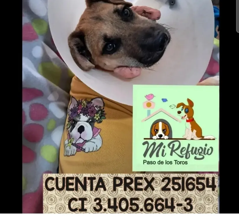 455336834_529029396142824_6654939023152934903_n