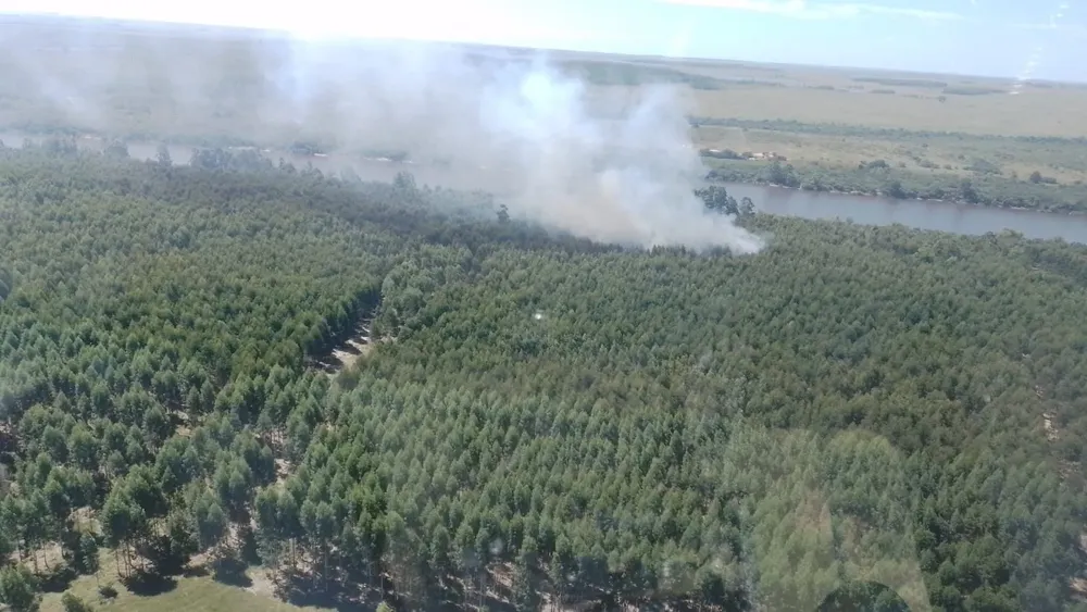 WhatsApp Image 2024-03-04 at 18.50.25 (2)