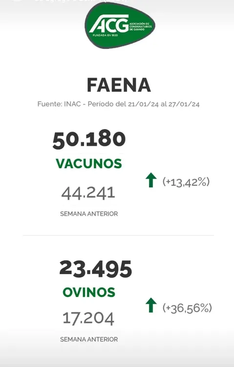 WhatsApp Image 2024-01-30 at 08.54.35