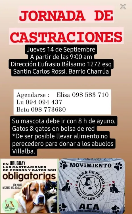 Screenshot_20230913_080048_Business Suite