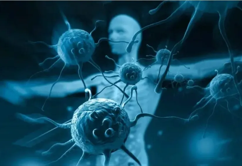 Screenshot_20251126_090307_Facebook