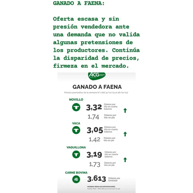 WhatsApp Image 2024-01-09 at 11.01.16