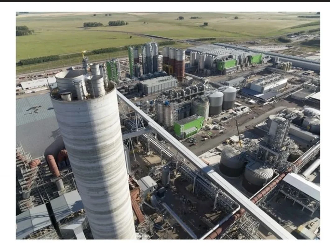 Screenshot_2024-11-12-13-40-52-756_com.android.chrome-edit