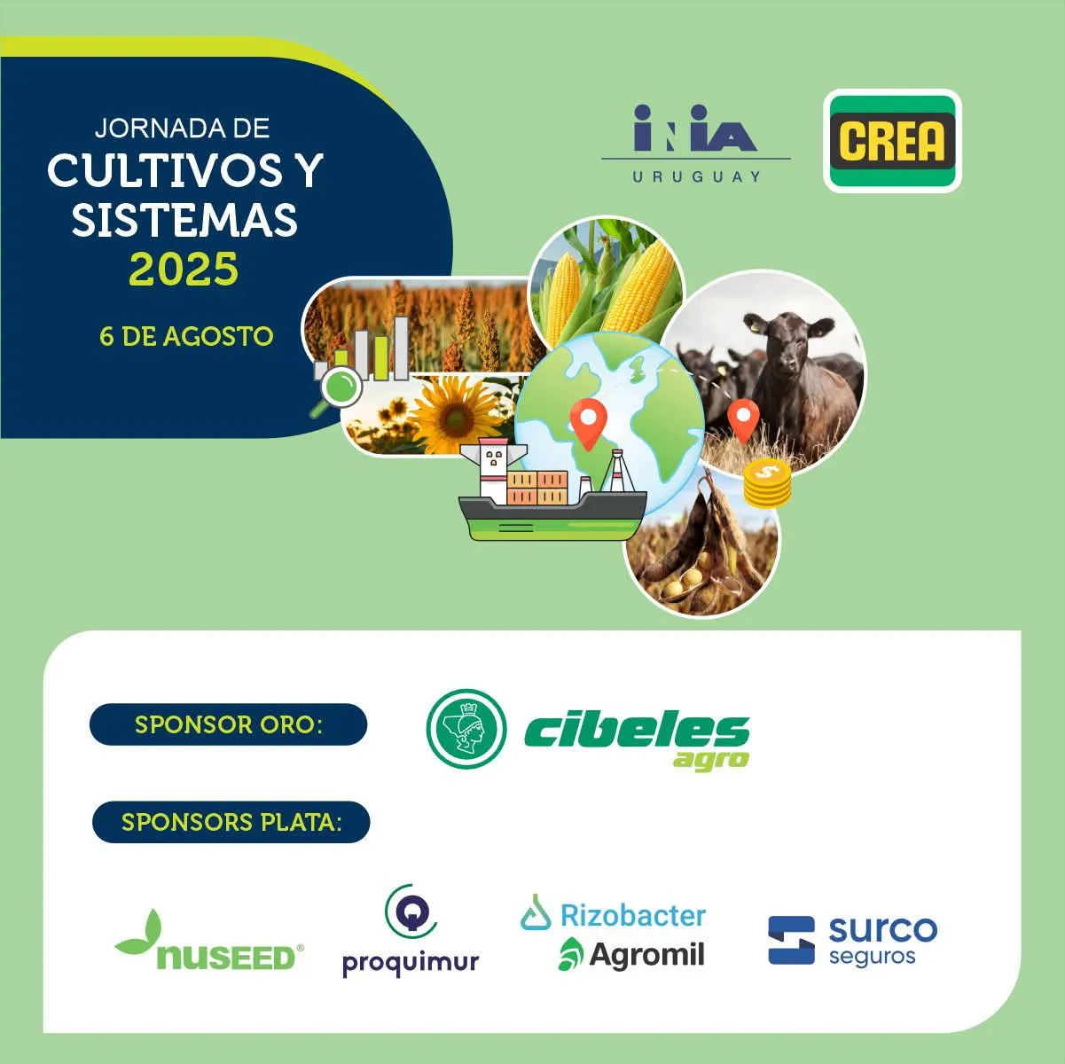 6c13c212-4334-4695-bc3c-878238b3bb90