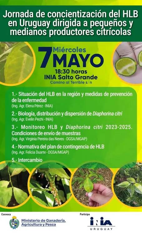 FB_IMG_1746584453295